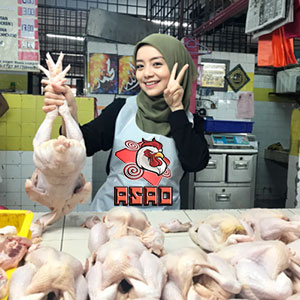 Gadis Memilih Daging Sabung Ayam yang Baik